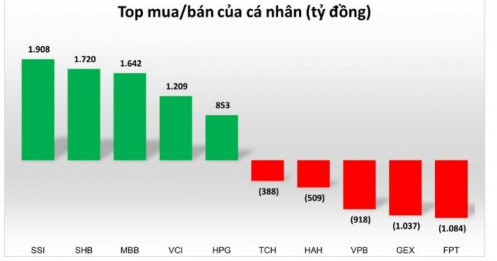 Cá nhân mua ròng hơn 14.000 tỷ đồng trong tháng TTCK được nâng hạng