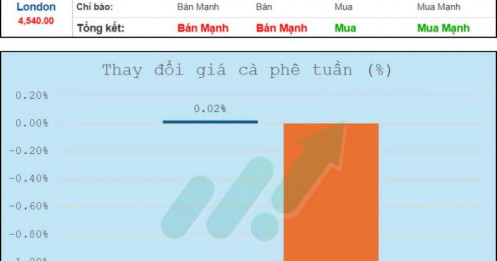 Tổng quan thị trường cà phê tuần 27/10 - 31/10/2025