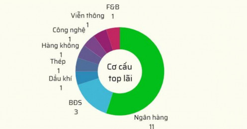 Top 20 doanh nghiệp lãi “khủng” nhất 9T2025: 10 cái tên vượt 15.000 tỷ đồng
