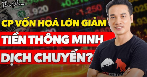 [VIDEO] Cổ phiếu vốn hóa lớn kéo lùi chỉ số, liệu tiền thông minh có tìm đến các cơ hội khác?