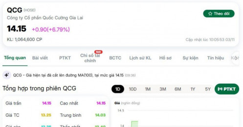 Cổ phiếu QCG tím trần sau tin vui