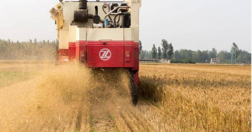 Trung Quốc siết chặt an ninh hạt giống trước nguy cơ gián điệp nông nghiệp