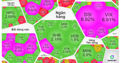 VN-Index “cháy” trở lại, tài khoản chứng sĩ đồng loạt “hồi sinh”