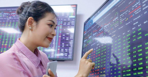 Nhà đầu tư trẻ "lật kèo" quy tắc "Cộng lãi – trừ lỗ"