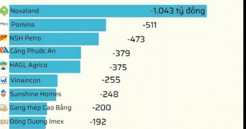 20 DN lỗ lớn nhất 9 tháng năm 2025