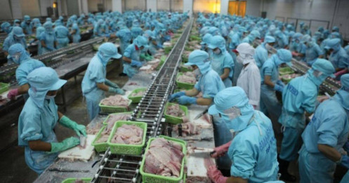 Doanh nghiệp xuất khẩu khởi sắc 9 tháng đầu năm 2025