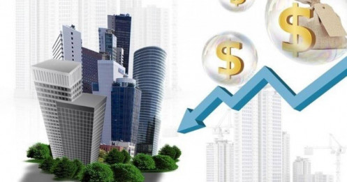 VARS cảnh báo người mua chung cư