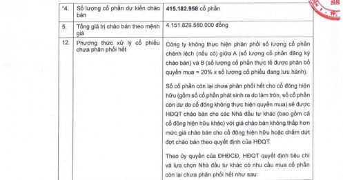 Chứng khoán SSI giảm số lượng cổ phiếu chào bán cho cổ đông