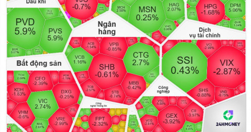 VN-Index bật tăng nhưng nhiều nhà đầu tư vẫn ‘trắng tay’