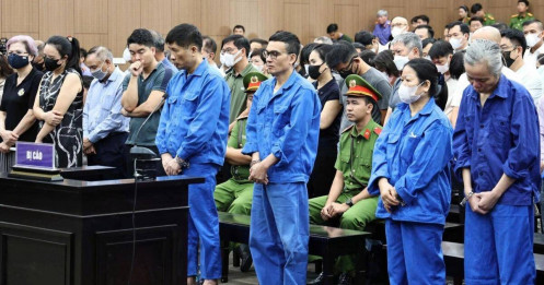 "Doanh nhân đánh bạc" hứa hiến máu trọn đời để... hưởng án treo