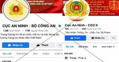 Vì sao nhiều người tiếp tục bị lừa hàng tỷ dù đã biết… “bị lừa”?
