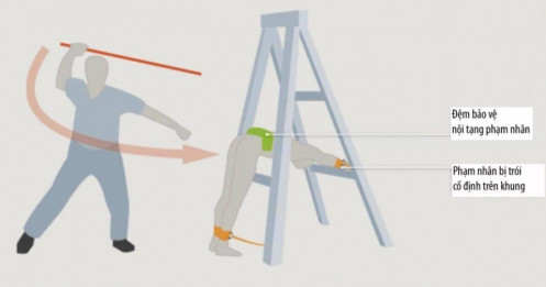 Singapore sẽ phạt roi kẻ lừa đảo trực tuyến