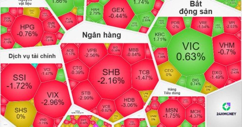 VN-Index giảm mạnh nhất châu Á: Gió đông chưa kịp về, bão lửa đã quét sạch tài khoản chứng sĩ