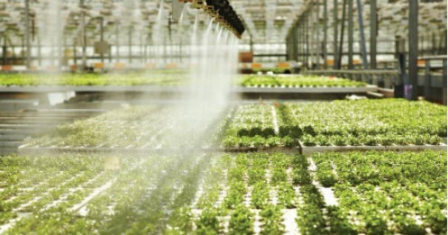 Doanh nghiệp tư nhân bùng nổ, vốn đăng ký bổ sung đạt hơn 5 triệu tỷ đồng