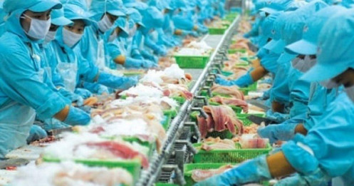 Thủy sản: tín hiệu tích cực cho nhà đầu tư