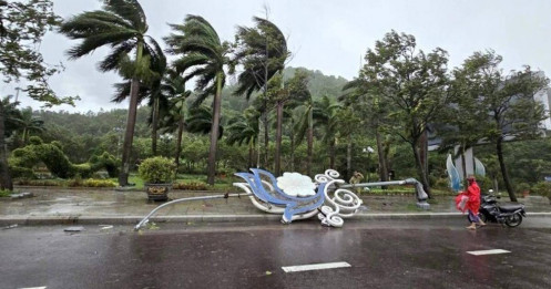 Bão số 13 đi qua, Gia Lai thiệt hại nặng nề