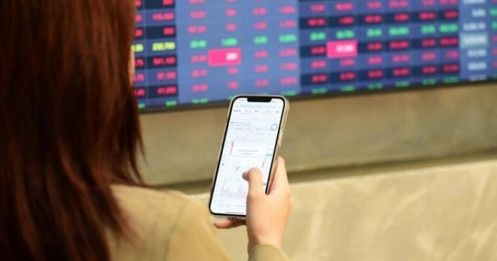 Đâu là tâm điểm sinh lời quý IV/2025 và 2026?