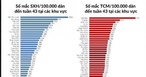 TP.HCM báo động nguy cơ “dịch chồng dịch”