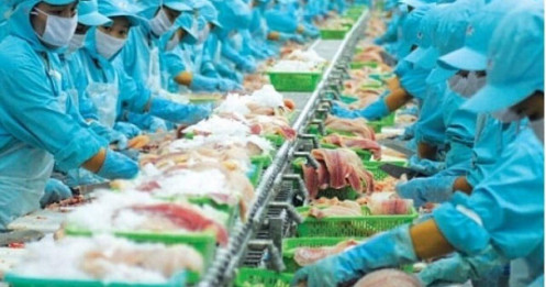 Ngành thủy sản ‘hồi sinh’, cổ phiếu đồng loạt tăng tốc