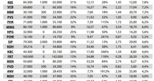 NĐT săn cơ hội ngắn hạn, dòng tiền đổ vào cổ phiếu nền tảng vững
