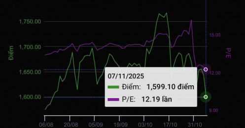 VN-Index giảm mạnh xuống dưới mốc 1.600 điểm, P/E thị trường còn 12,19 lần