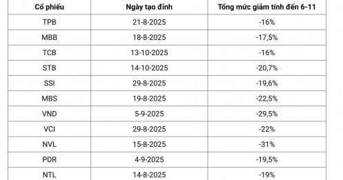 Tỷ phú Việt mất hàng trăm triệu USD trong phiên thủng mốc 1.600 điểm