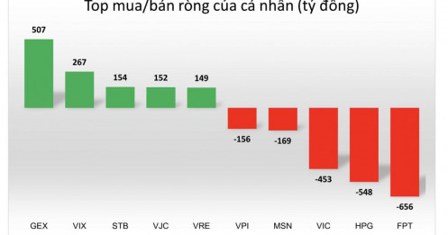 NĐT cá nhân mạnh tay 'bắt đáy' GEX, VIX, STB trong tuần qua