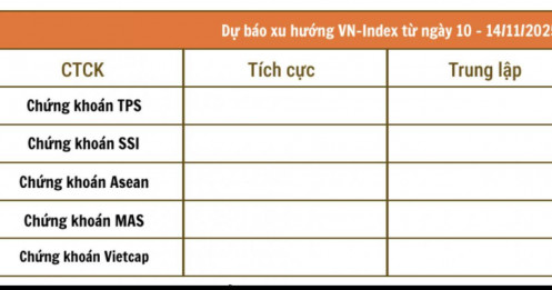 Thủng 1.600 điểm, tuần tới VnIndex sẽ đi về đâu?