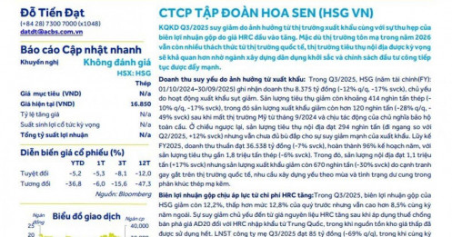 Hoa Sen báo lãi tăng 44%, các chuyên gia cũng không đưa ra đánh giá về cổ phiếu HSG