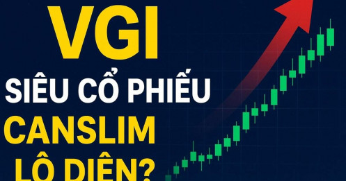 Bài viết HAY của chuyên gia