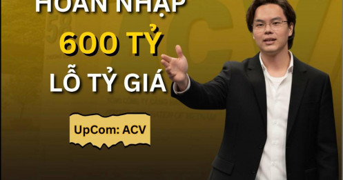Hoàn Nhập 600 Tỷ Lỗ Tỷ Giá