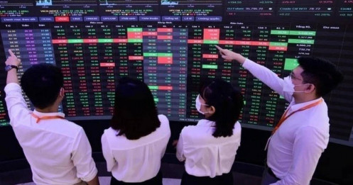 Rung lắc ngắn hạn, cơ hội chọn lọc cổ phiếu