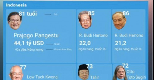 Việt Nam có đại diện trẻ nhất trong nhóm 14 tỷ phú Đông Nam Á tài sản trên 10 tỷ USD