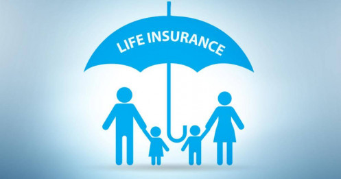 Cú lội ngược dòng ngành bảo hiểm: Ai đang nắm lượng tiền mặt khủng?