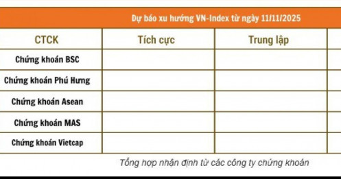 Làn sóng bi quan bao trùm giới phân tích chứng khoán
