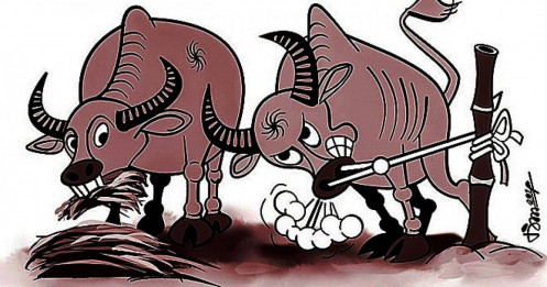 "Trâu buộc ghét trâu ăn” - Lòng đố kỵ là căn bệnh không có thuốc chữa, chỉ có người tỉnh mới khỏi