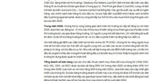 Nhóm “ông lớn” BĐS chuẩn bị bùng nổ: Doanh số tăng gần 40% năm 2025