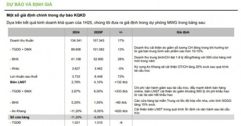 Bách Hóa Xanh trở thành trụ cột lợi nhuận, cổ phiếu MWG được khuyến nghị mua, kỳ vọng tăng 32%