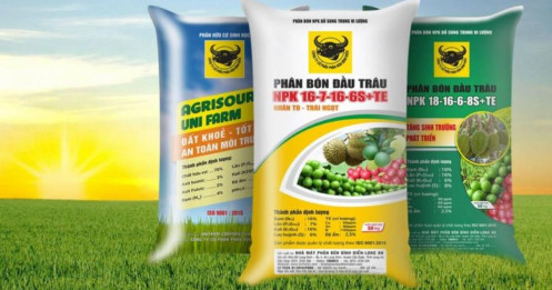 BFC: Hàng tồn khi tăng lên hẳn 1000 tỷ trong quý 3