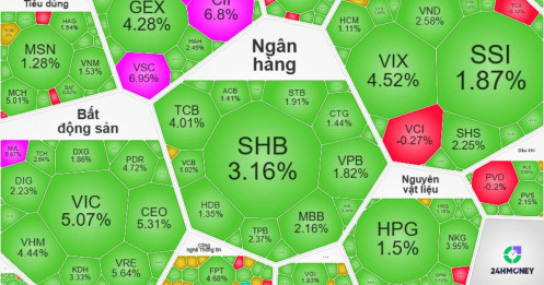VN-Index bật tăng hơn 38 điểm: Sóng hồi thật hay chỉ là bulltrap đánh lừa nhà đầu tư?