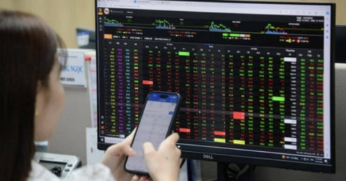 VN-Index chạm đáy? Cơ hội mua vào dành cho NĐT đang nắm giữ tiền mặt