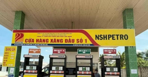 Phó tổng giám đốc Nam Sông Hậu bị bắt tạm giam