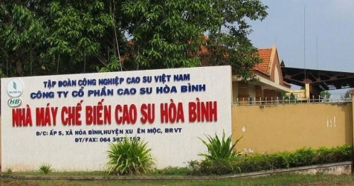 Cao su Hòa Bình dự kiến sụt giảm 92% lợi nhuận sau thuế trong quý 4