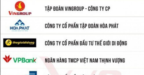 10 DN tư nhân lớn nhất Việt Nam 2025
