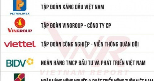 10 DN lớn nhất Việt Nam năm 2025