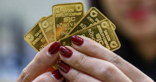 Mọi dự báo đều bị phá vỡ bởi 'cơn sóng vàng'