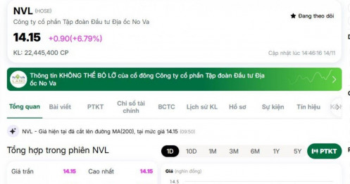 Cổ phiếu NVL "tím lịm" với thanh khoản bùng nổ sau khi đón loạt tin vui