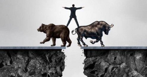 Tổng hợp thị trường phiên giao dịch ngày 14/11/2025