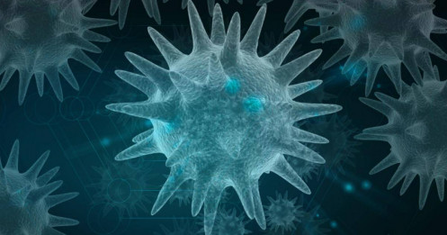 Cảnh báo: Phát hiện chủng cúm ‘kháng’ vaccine, có thể trở thành dịch bệnh toàn cầu