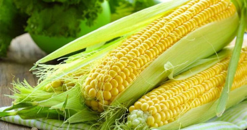 Ngô Tăng Mạnh Trước Báo Cáo USDA – Số Liệu Cung Cầu Chuẩn Bị Gây Biến Động Lớn